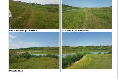 Teren cu lac 7.5 ha Daia Giurgiu - 1
