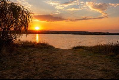 Teren Construcții intravilan de 2276 mp, în Ciofliceni