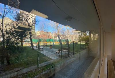 SPATIU STRADAL 567 MP - VAD COMERCIAL - PACHE PROTOPOPESCU - 13
