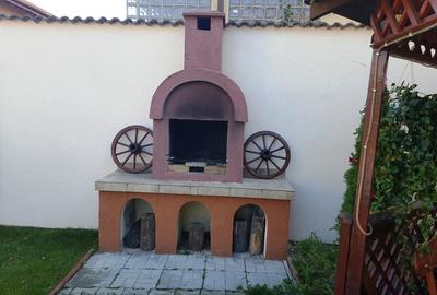 Vanzare vila remarcabila Drumul Negru - Pipera - 19