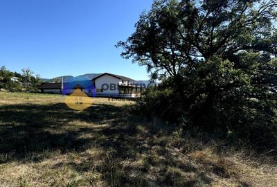 Teren comuna Alexandru cel Bun , drumul spre Bisericani - 8
