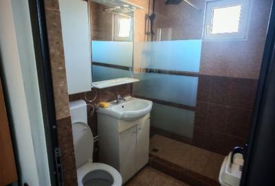 Inchiriere apartament 2 camere, Piata Minis - 11