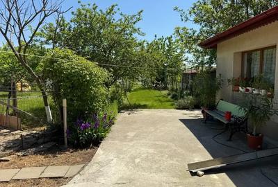 Casa cu 4000 mp teren, Letca Noua, Giurgiu — 1h de București - 1