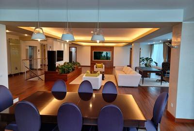 Penthouse In Prima Linie Pe Nordului | 400 mp Utili + 400 mp Terasa - 2