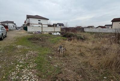 Teren Intravilan de Vanzare Aeroportului Cornetu - 3