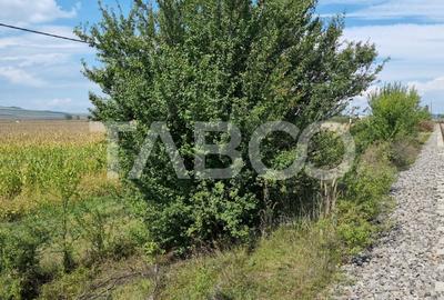 Comision 0%  Oportunitate investitie 28000 mp in Sura Mica Sibiu - 3