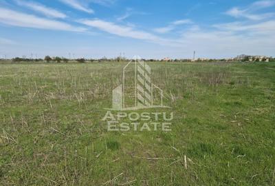 Teren intravilan de vânzare – Sânnicolau Mare, județul Timiș - 4