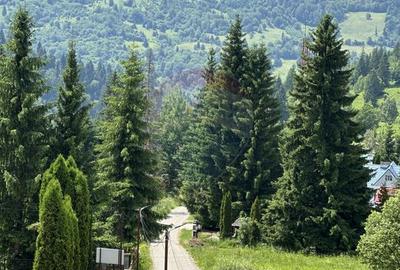 Hotel/Pensiune, în Ceahlău