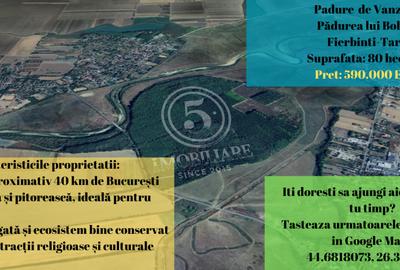 Padure de vanzare - Padurea lui Bolete, Fierbinti-Targ - 1