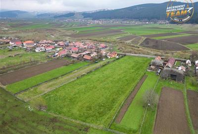 FILM!Potential rezidential/ investitional: 8.000 mp intravilan construibil, Sanz - 18