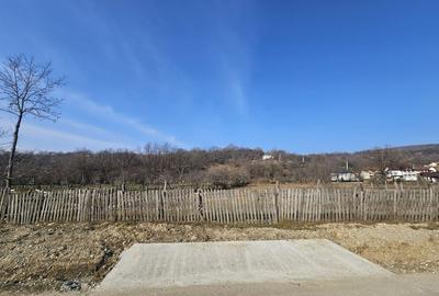 Teren 2500 mp în natură, Valea Bratia, priveliște spre munți - 4