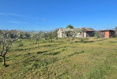 Exclusivitate-Vadu, zona centrala, casa 75mp, teren 1917 mp/31ml deschidere - 31