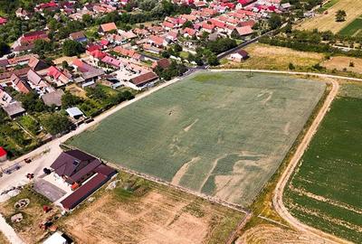 6 loturi casa Maierus,1.375mp,langa DN13, Doripesco,Brasov: 35min, zona verde:FI - 21