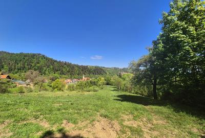 Teren intravilan 1577 mp, Schei Brasov - 4