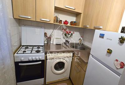 Garsoniera Micalaca Orizont - 4