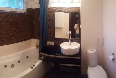 Apartament complet mobilat și utilat de închiriat - 9