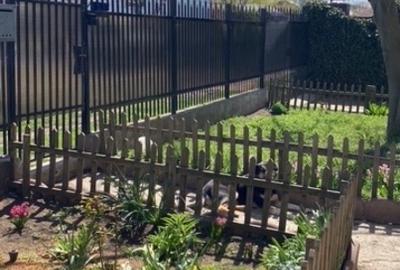 Casa P+1 Valu Lui Traian - 2