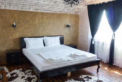 Complex Comercial de Lux –  3 Vile, Salon Evenimente și 2 Piscine - 11