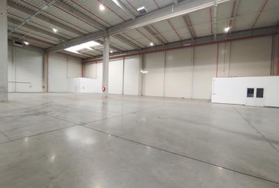 Hala productie depozitare sau logistica - 7