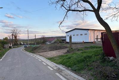 Spatiu Sipote, de la 100mp la 202mp, pt. magazin, productie - 5