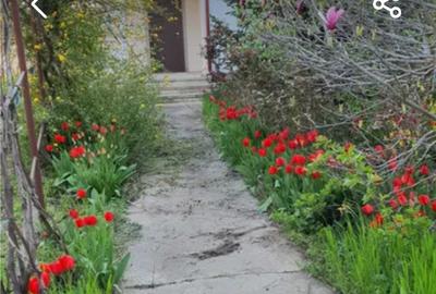 Vila versatila in Joita la pret de Apartament - 1