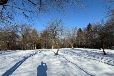 Teren intravilan 763 mp in zona Bran-Tohanita,judetul Brasov - 6
