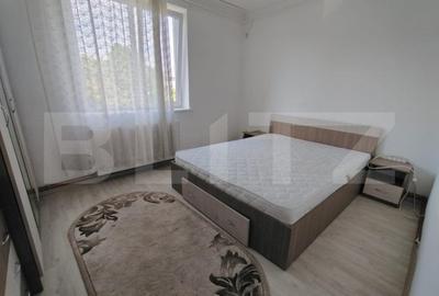 Apartament de 2 camere, 45 mp, Centrala, A.C., zona Calea Severinului