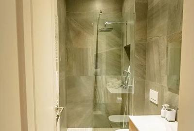 2 apartamente de 49 mp si 46 mp, cladire istorica, Central 0% comision - 12