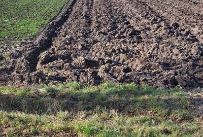 Teren agricol extravilan de 3678 mp, în Mitocu Dragomirnei