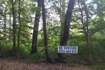 Teren de 4000 mp, în Snagov