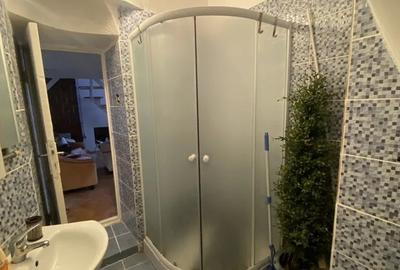 Garsoniera libera la vanzare zona Centrul Istoric - 8