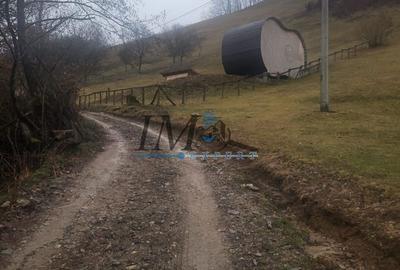 TEREN PENTRU CABANA PE VALEA TONII - 3