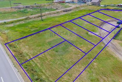 Teren Intravilan de Vânzare 4,000mp Deschidere la DN24 intrare Vaslui - 4