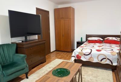 Banu Manta, Titulescu, Primaria Sectorului 1, garsoniera mobilata si utilata, - 2