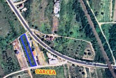 Teren Construcții intravilan de 2000 mp, în Cârcea