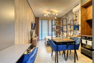 Studio Win Herastrau I Ideal investitie - 1