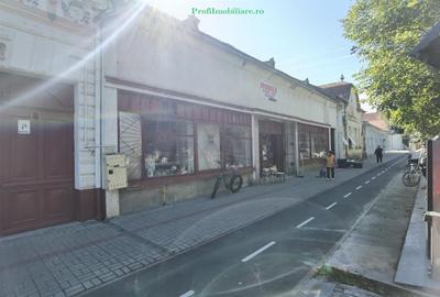 Casa la principala cu spatiu comercial in SANTANA - 1