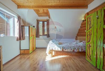 CASA INCONJURATA DE NATURA | DIN BUSTENI | 8 CAMERE | TIMISUL DE JOS - 10