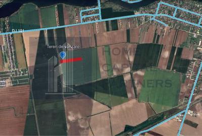 Teren arabil 10.000 mp de vânzare – Căciulați, Moara Vlăsiei - 1