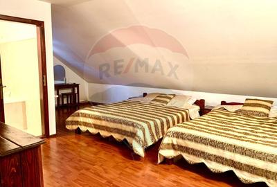 Pensiune cu 13 camere de vânzare in Bulz - 36