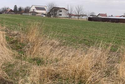 Teren de vanzare Stupini - 1