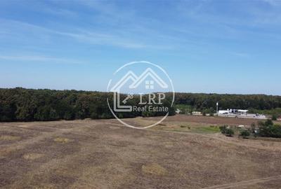 Teren Voluntari-Pipera | 3.700mp | Zonă Pădure & Școli Internaționale - 3