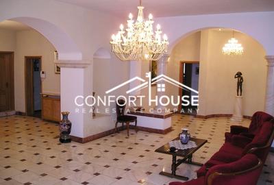 Proprietate impresionanta D+P+M, teren 4781MP, IANCU NICOLAE - 9