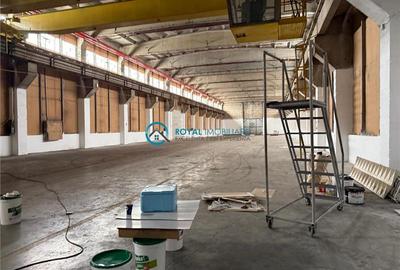 Royal Imobiliare - Inchiriere spatiu industrial zona Vest - 3