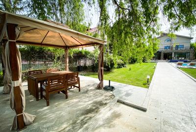 Unique villa concept in Buftea - perfect opportunity! - 6