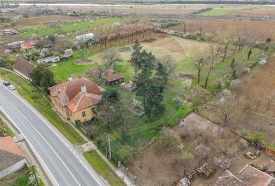 Conac aristocratic secolul XIX , domeniu  2,5 hectare — Păuliș, Arad - 4