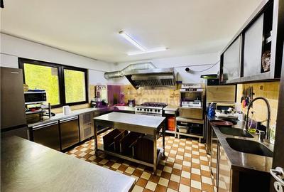 Afacere la cheie de vanzare | pensiune Valea Avrigului | moderna si profitabila - 16