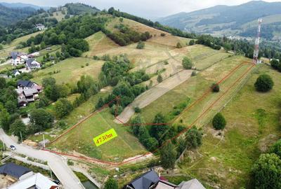 Teren 4397 mp Intravilan Manastirea Humorului / Lunga Bucovina - 3