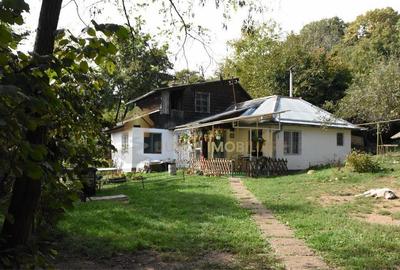 CASA 87 MP TEREN 978 MP ZONA TAIETURA TURCULUI - 1