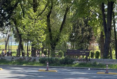 Apartament de vânzare cu 4 camere in Tomis Nord, Vedere parc, etaj 1 - 1